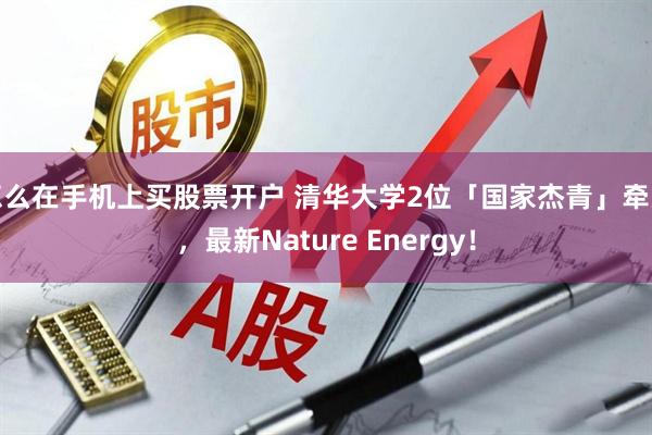 怎么在手机上买股票开户 清华大学2位「国家杰青」牵头，最新Nature Energy！