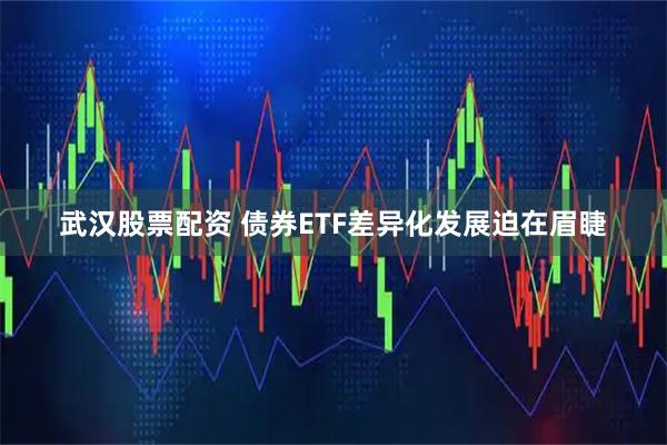 武汉股票配资 债券ETF差异化发展迫在眉睫