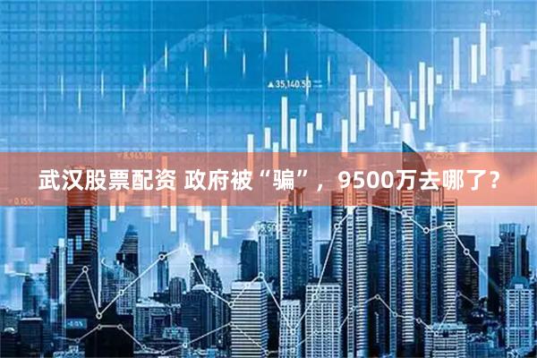 武汉股票配资 政府被“骗”，9500万去哪了？
