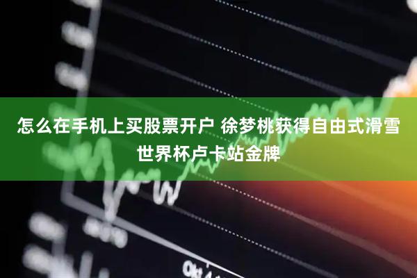 怎么在手机上买股票开户 徐梦桃获得自由式滑雪世界杯卢卡站金牌