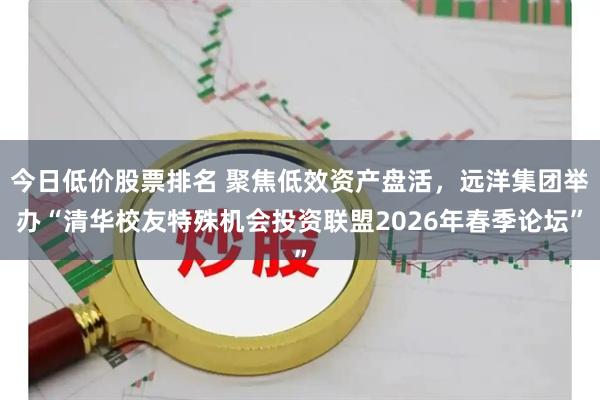 今日低价股票排名 聚焦低效资产盘活，远洋集团举办“清华校友特殊机会投资联盟2026年春季论坛”