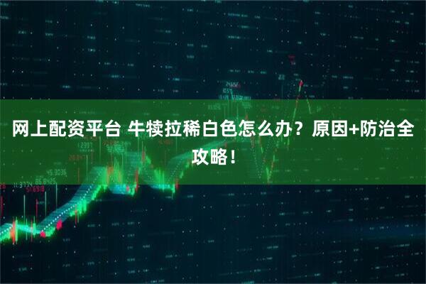 网上配资平台 牛犊拉稀白色怎么办？原因+防治全攻略！